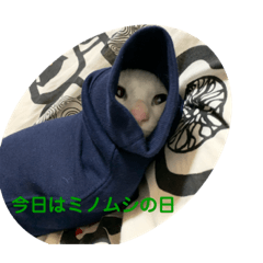 [LINEスタンプ] わさびさんIV