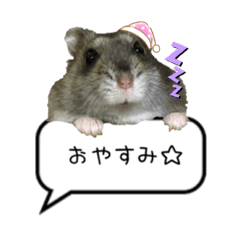 [LINEスタンプ] ふわハム日常