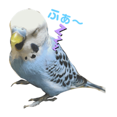 [LINEスタンプ] ぴーさんすたんぷ