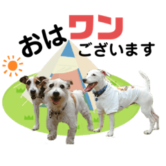 [LINEスタンプ] プッチの仲良し家族