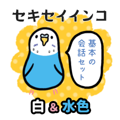 [LINEスタンプ] セキセイインコの会話(白＆水色)