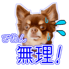 [LINEスタンプ] ちょこたんねるスタンプ第1段