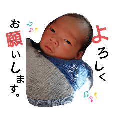 [LINEスタンプ] しょたみんスタンプ