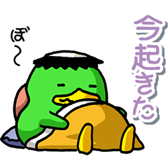 [LINEスタンプ] かっぱ大好き！その4 まめかっぱ