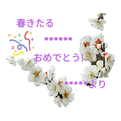 [LINEスタンプ] 花の写真のメッセージスタンプ