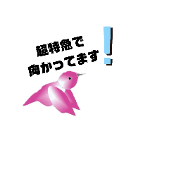 [LINEスタンプ] 鳥吉Pンキ―