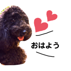 [LINEスタンプ] ばるばくんすたんぷ