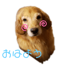 [LINEスタンプ] aiken③