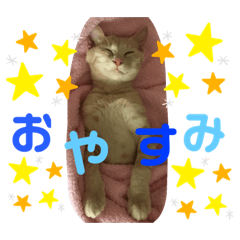 [LINEスタンプ] 白山家の猫達1