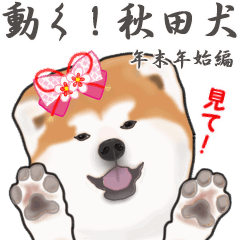 [LINEスタンプ] 秋田犬の年末年始スタンプⅡの画像（メイン）