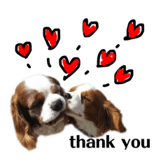 [LINEスタンプ] エルいちご時々モンちゃん