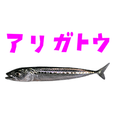 [LINEスタンプ] さかな B 手書き風文字