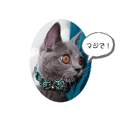 [LINEスタンプ] うめちゃんスタンプなのだ！