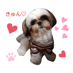 [LINEスタンプ] 我が家のもじゃ 2