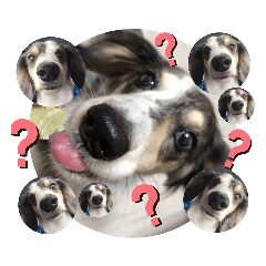 [LINEスタンプ] ソアラの日常4