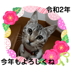 [LINEスタンプ] ベンガルレンジャーズのスタンプ⑤