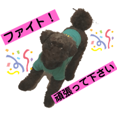 [LINEスタンプ] ひじきさんとゆかいな家族 vol.2