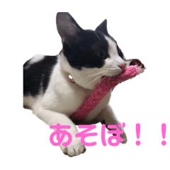 [LINEスタンプ] おとちゃんぷ。
