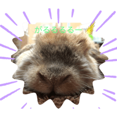 [LINEスタンプ] ろい吉