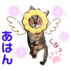 [LINEスタンプ] ベンガルレンジャーズのスタンプ⑥