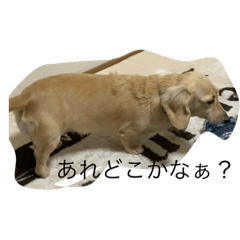 [LINEスタンプ] ばななのひとこと3