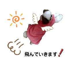 [LINEスタンプ] 我が家のもじゃ 4