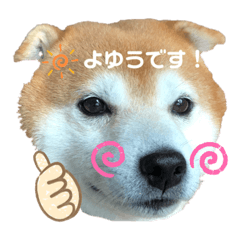 [LINEスタンプ] 大吉お兄マンのほんわかスタンプ♪
