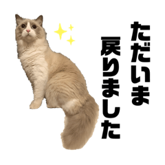 [LINEスタンプ] 半純血のプリンスRONさん3