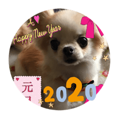 [LINEスタンプ] TiaraクンSTAMP②